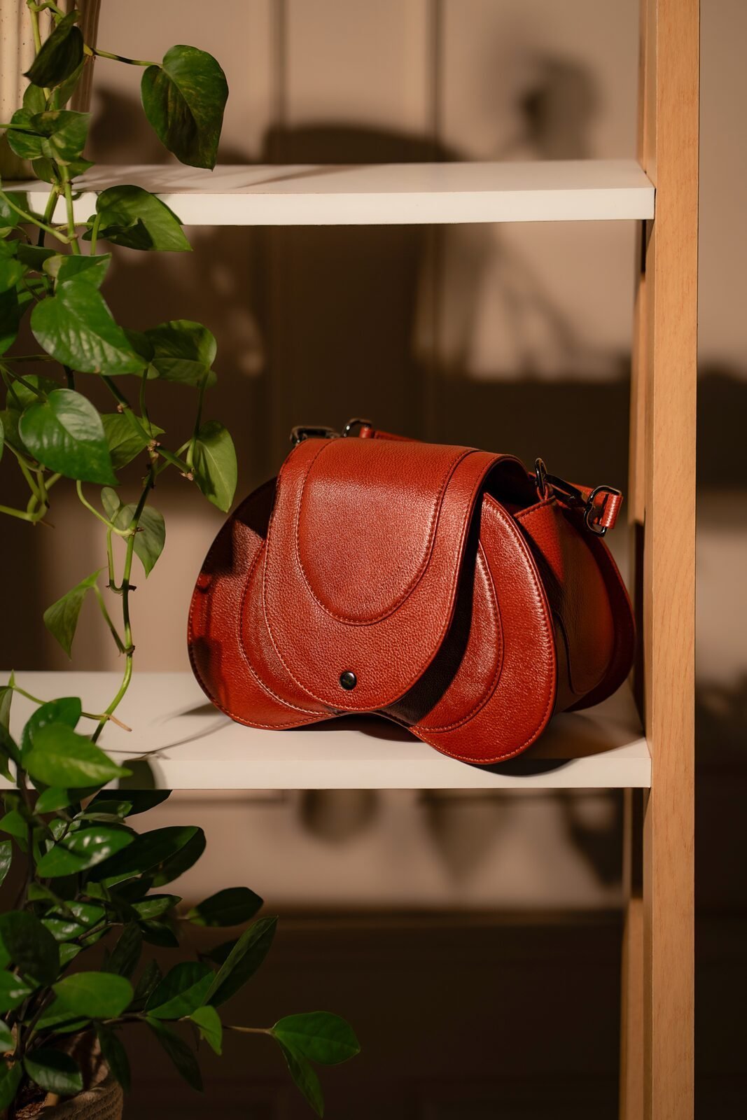 Ardori crossbody bag resting beside a plant